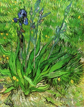 Die Iris Vincent van Gogh Ölgemälde